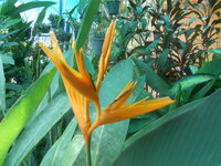 DSCN2612.JPG