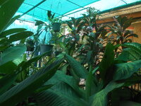 DSCN2614.JPG