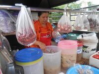 DSCN3178.JPG