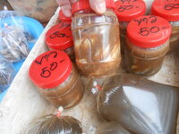 DSCN3182.JPG
