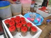 DSCN3181.JPG