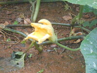 DSCN3188.JPG