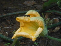 DSCN3190.JPG