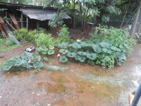 DSCN3186.JPG
