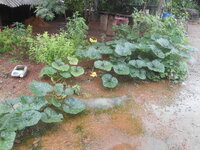 DSCN3187.JPG