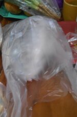 DSCN2701~2.JPG