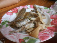 DSCN2734.JPG