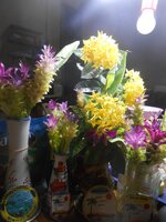 DSCN3104~2.JPG