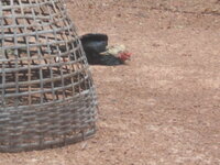 DSCN2623.JPG