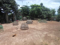DSCN2620.JPG