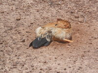 DSCN2621.JPG