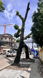 IMG_5624.jpeg