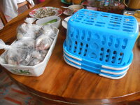 DSCN2736.JPG