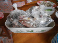 DSCN2737.JPG