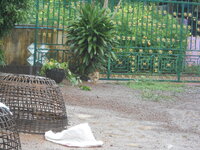 DSCN3337.JPG
