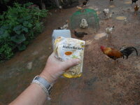 DSCN3300.JPG