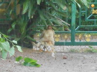 DSCN3340.JPG