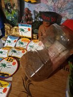IMG_20250929_190904_285.jpg