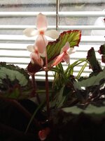 IMG_20250928_121702_047.jpg