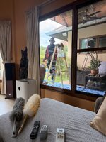IMG_8222.jpeg