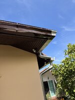 IMG_8228.jpeg
