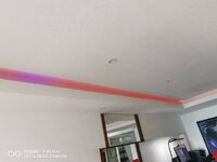 21397_0.jpg