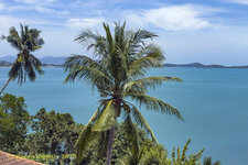 228-Lamai-2025-0922-01.jpg