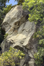 228-Lamai-2025-0922-05.jpg