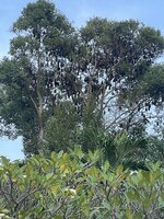 IMG_5722.jpeg