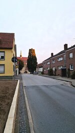 20251003_074914.jpg