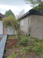 IMG_20220413_174806.jpg