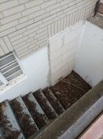 IMG_20220413_174506.jpg