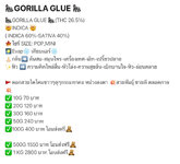 IMG_2822.jpeg