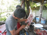DSCN2501.JPG