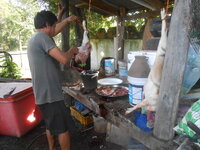 DSCN2502.JPG