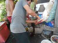 DSCN2499.JPG
