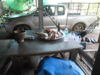 DSCN2505.JPG
