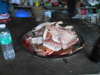 DSCN2504.JPG