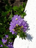 IMG-20250605-WA0006.jpg