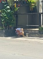 20251006_115307.jpg