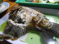 DSCN3324.JPG