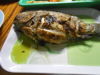 DSCN3318.JPG