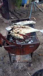thumbnail_IMG-20250314-WA0000.jpg