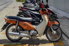 01-Moped-Honda-Cup-2025-0915-01.jpg