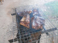 DSCN2538.JPG