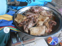 DSCN2540.JPG
