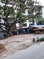 Pattaya 2025 390.jpg