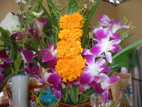 DSCN0775.JPG