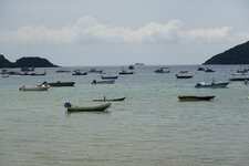 DSC05942.JPG