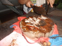 DSCN2546.JPG